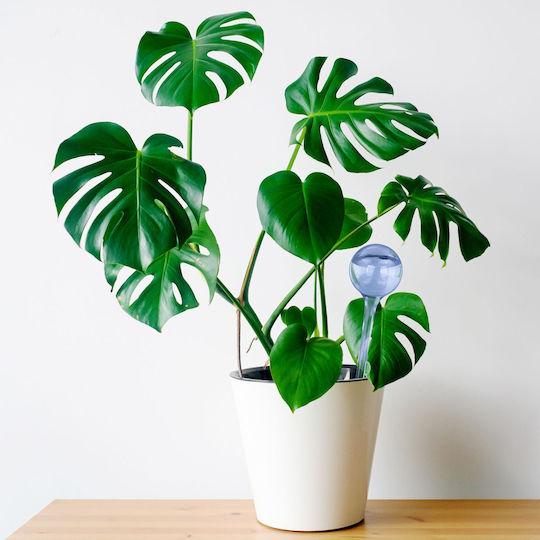 Set 5 Pflanzbewässerungskugeln