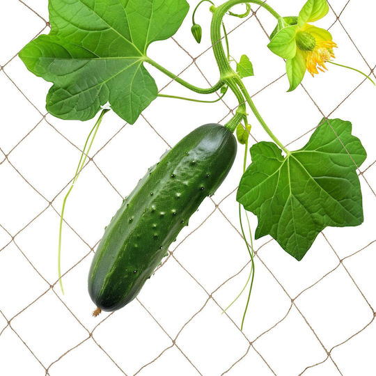 Plasă De Susținere Pentru Plante Din Iută 2x3m Naturală Plasă De Susținere Pentru Plante Din Iută 2x3m Naturală