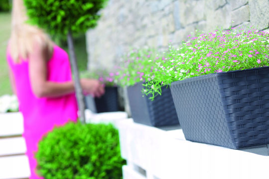 Prosperplast Ratolla Vaza Pentru Plante Din Rattan Bej Prosperplast Ratolla Vaza Pentru Plante Din Rattan Bej