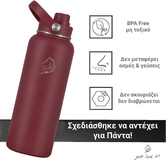 Cool'NMore Термос Бутилка От Неръждаема Стомана Без BPA 1 л Vibe Със Сламка, Дръжка, Мундщук И Примка