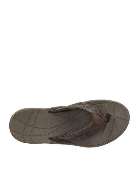 Men's Brown Flip Flops
