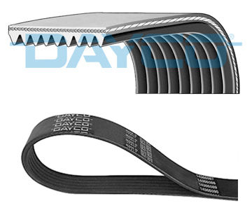 Dayco Ribbed Transmission Belt 9pk2010hd