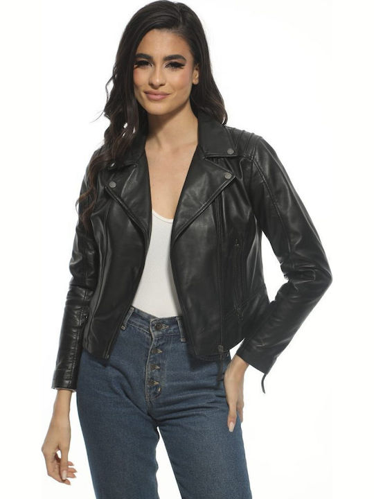 Newton Leather
