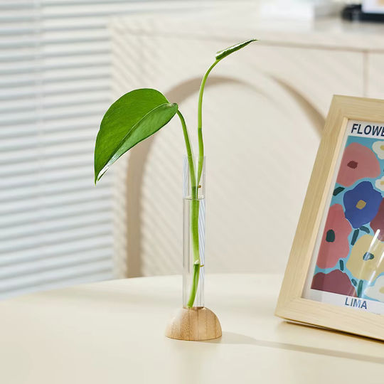 Dekorative Holzvase Transparent 5xH15,5cm