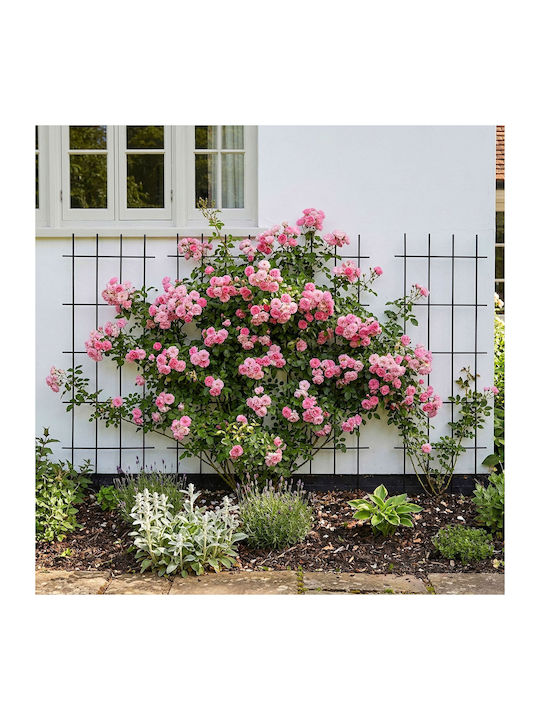 Trellis De Grădină Negru 45x115cm