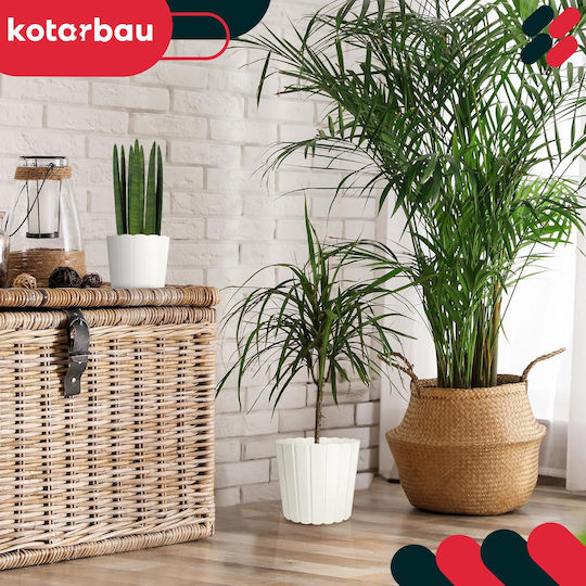 Kotarbau Σετ 6 Γλάστρες Πλαστικές White Kotarbau Σετ 6 Γλάστρες Πλαστικές White