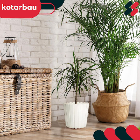 Kotarbau Σετ 4 Γλάστρες Πλαστικές White