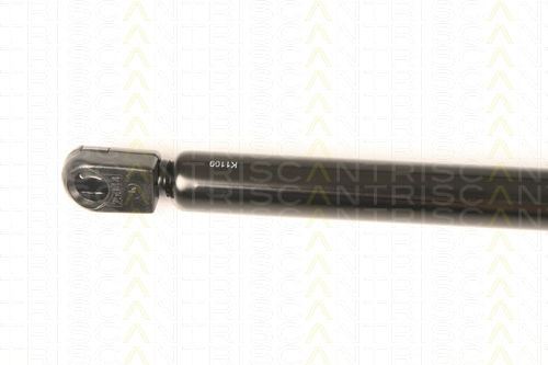 Triscan Амортисьор За Капак 8710 43102