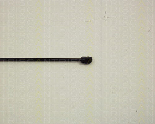 Triscan Kofferraum-Schock 8710 29117
