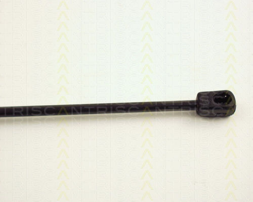 Triscan 8710 24204 Kofferraum-Schock