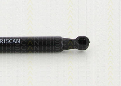 Triscan 8710 13280 Trunk Shock Absorber