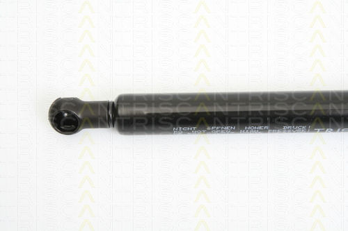Triscan 8710 14244 Trunk Shock Absorber