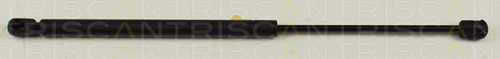 Triscan 8710 15220 Trunk Shock Absorber
