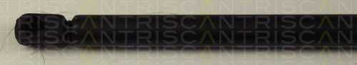 Triscan 8710 15220 Trunk Shock Absorber