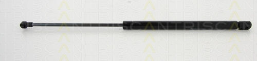 Triscan 8710 292015 Kofferraum-Schock