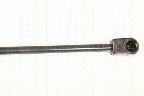 Triscan 8710 67212 Kofferraum-Schock