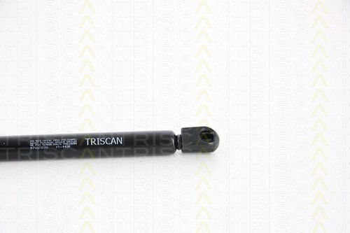 Triscan Kofferraum-Schock 8710 23220