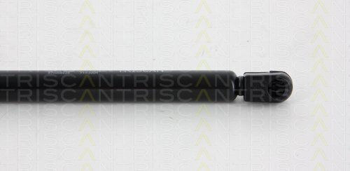 Triscan 8710 69225 Kofferraum-Schock-Absorber