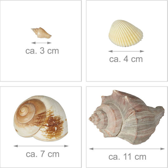 Dekorative Muscheln Relaxdays 1 Kg Mehrfarbig 3x11 Cm