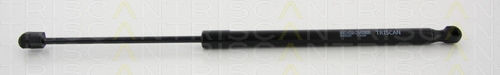 Triscan Trunk Shock Absorber 8710 24242