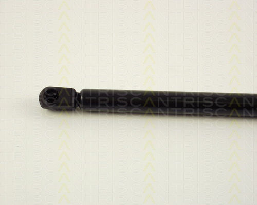 Triscan Trunk Shock Absorber 8710 29257