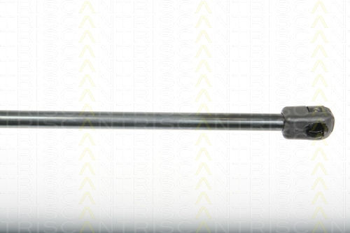 Triscan 8710 25243 Trunk Shock Absorber