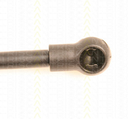 Triscan 8710 29249 Trunk Shock Absorber