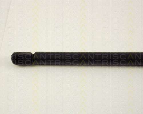 Triscan 8710 29225 Trunk Shock Absorber