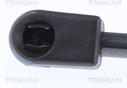 Triscan 8710 14221 Trunk Shock Absorber