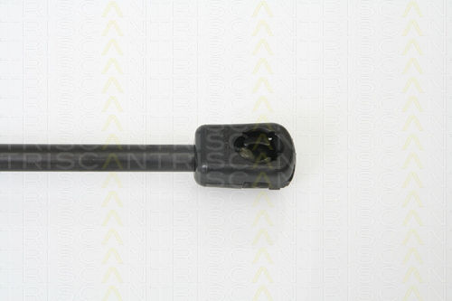 Triscan 8710 16240 Trunk Shock Absorber