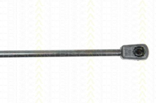 Triscan Kofferraum-Schock 8710 29129
