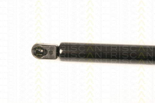 Triscan 8710 29289 Trunk Shock Absorber