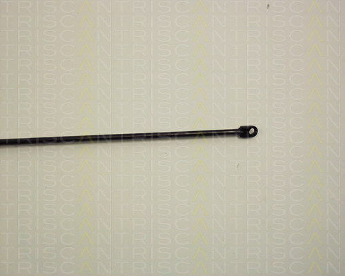 Triscan Kofferraum-Schock 8710 2302
