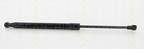 Triscan 8710 38231 Kofferraum-Schockabsorber