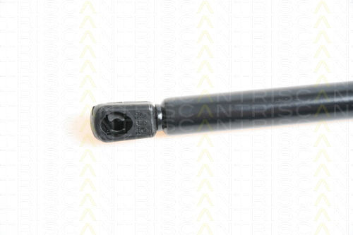 Triscan Hood Shock Absorber 8710 29112