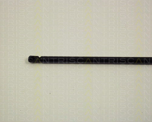 Triscan Hood Shock Absorber 8710 29109