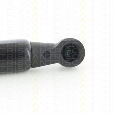 Triscan Hood Shock Absorber 8710 25107