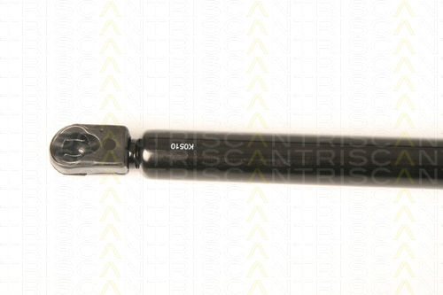 Triscan 8710 25250 Амортисьор За Багажник