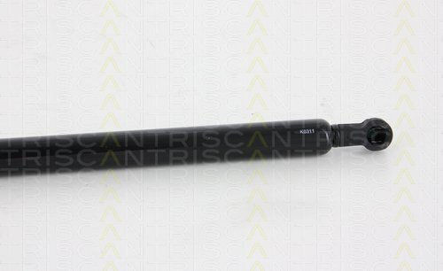 Triscan 8710 28243 Kofferraum-Schockabsorber