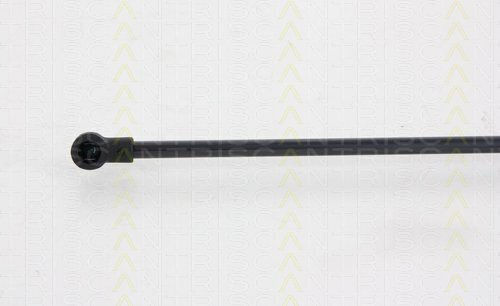Triscan 8710 28243 Kofferraum-Schockabsorber