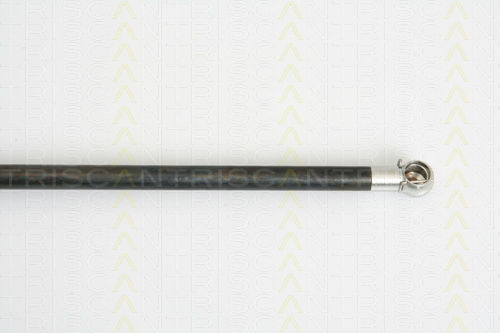 Triscan 8710 38225 Kofferraum-Schockabsorber