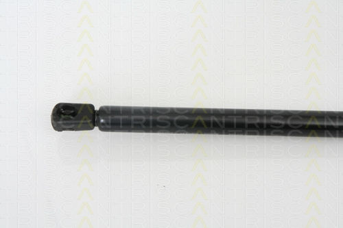 Triscan Kofferraum-Schock 8710 67100
