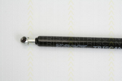 Triscan 8710 43227 Trunk Shock Absorber