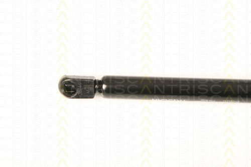 Triscan 8710 28240 Амортисьор За Багажник