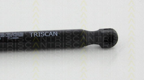 Triscan Trunk Shock Absorber 8710 10216