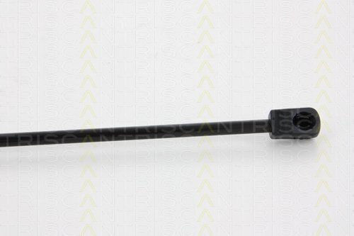 Triscan 8710 14246 Амортисьор За Багажник