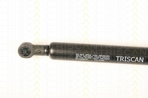 Triscan 8710 28241 Trunk Shock Absorber