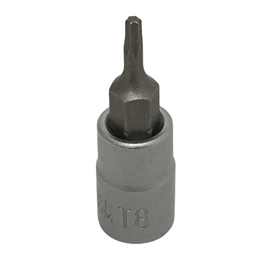 Walnut with Torx Head and Socket 1/4'' T8