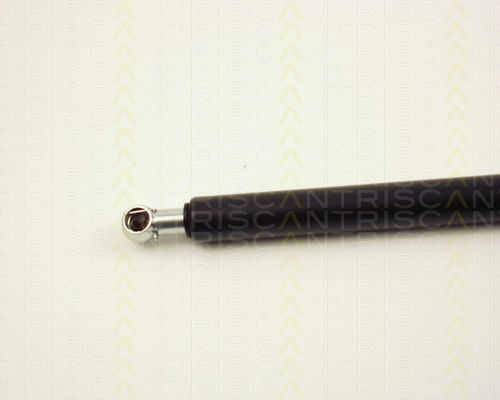 Triscan 8710 24212 Trunk Shock Absorber