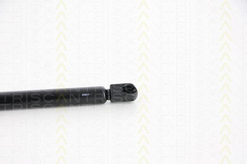 Triscan 8710 29242 Trunk Shock Absorber